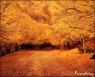 დამტვრეული ქანდაკებები და ფოტოზე გადატანილი ტკივილიანი სახეები Rating